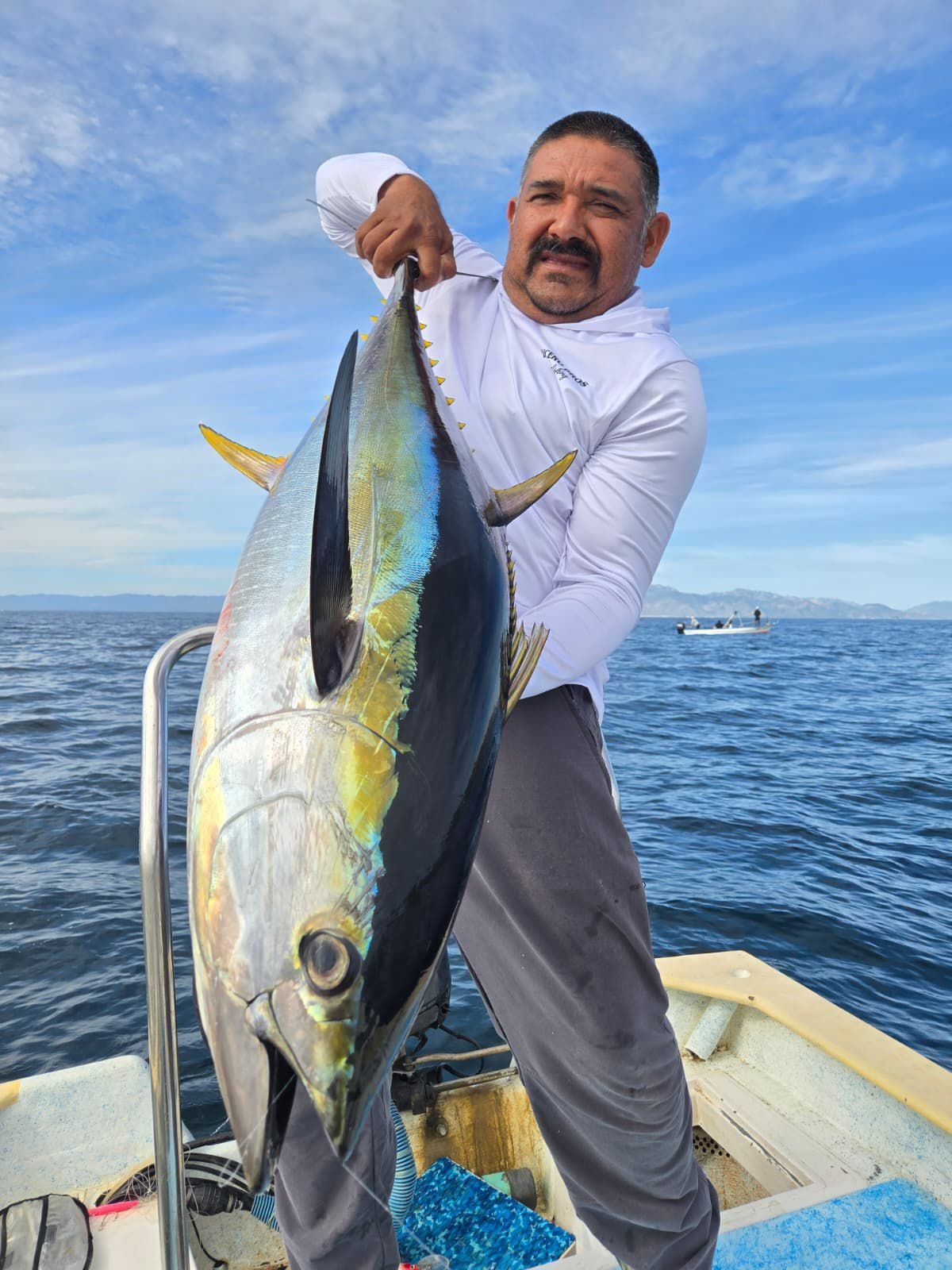 Yellowfin tuna catch, Sea of Cortez