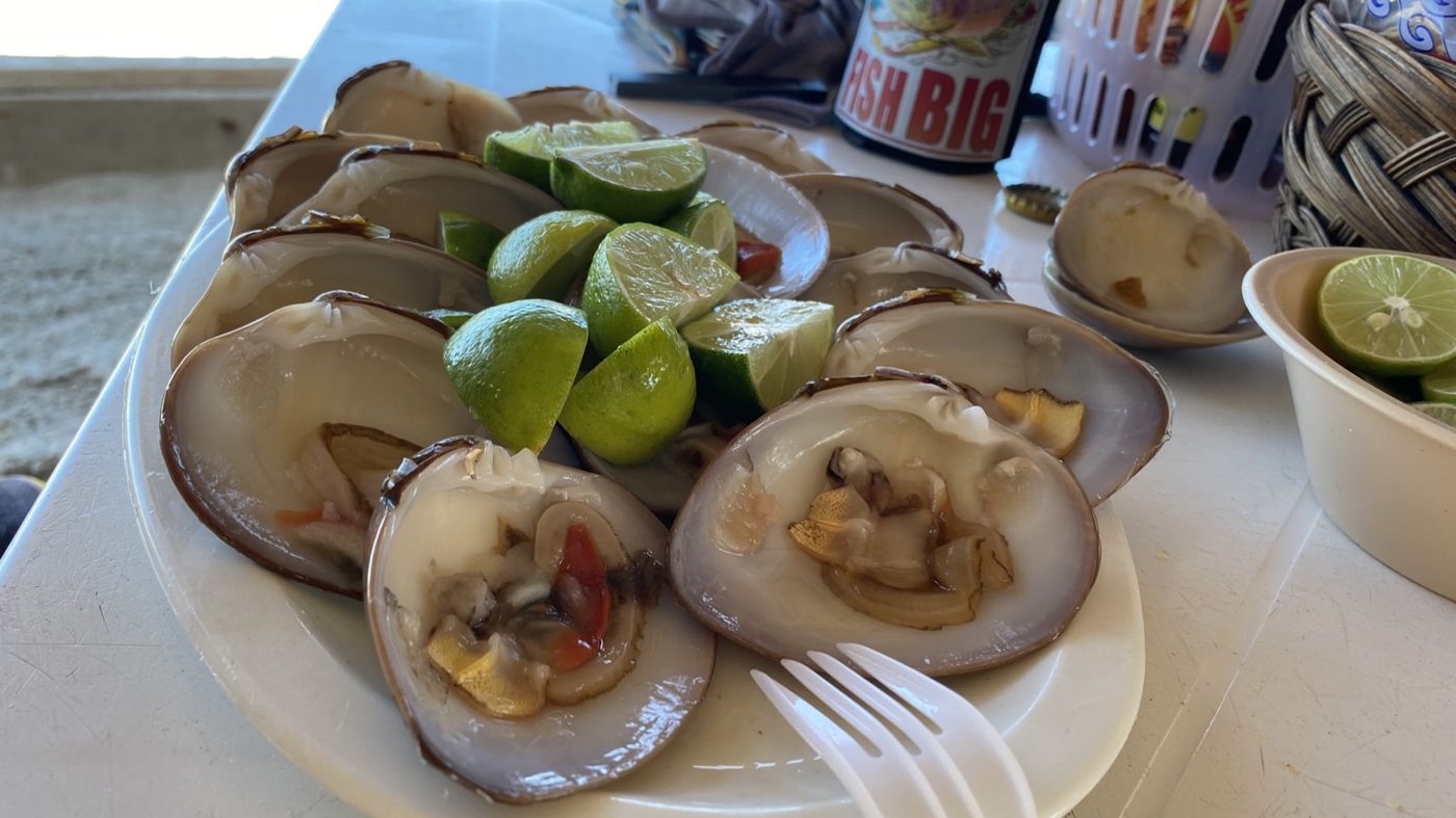 Almejas chocolatas served natural with lime at La Concha, Playa El Tecolote